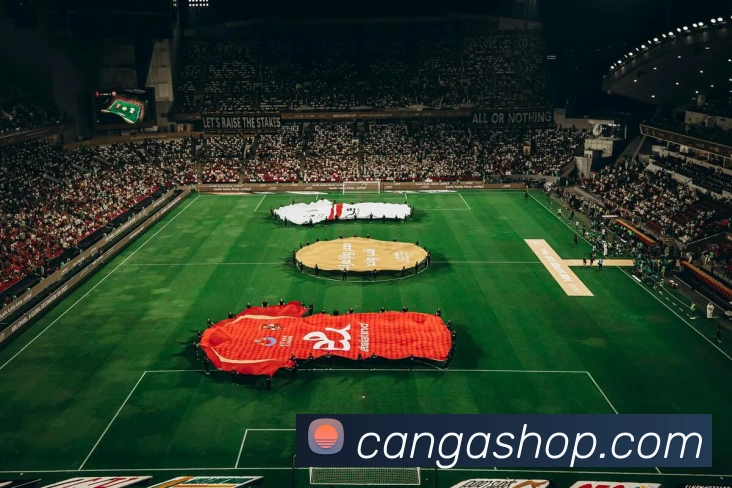 星空网官网登录入口APP 封面图